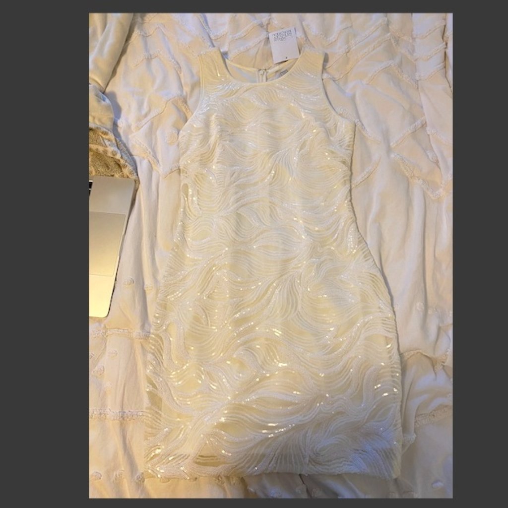 Never Worn, Tags On Badgley Mischka Dress